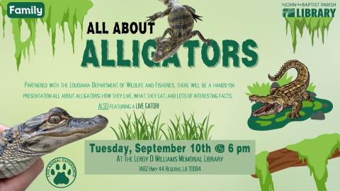 All About Alligators