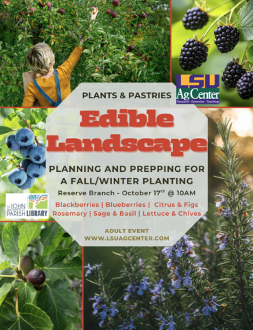 Edible Landscape