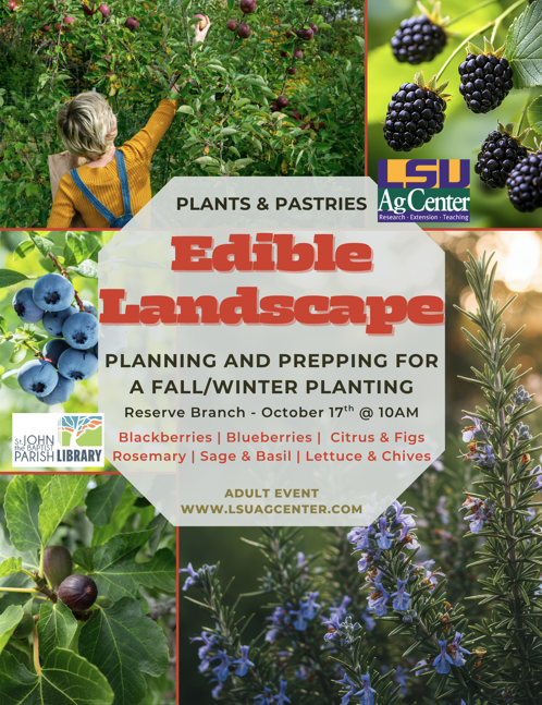 Edible Landscape